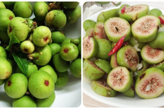 11 lợi ích bất ngờ từ quả sung xanh đối với sức khỏe