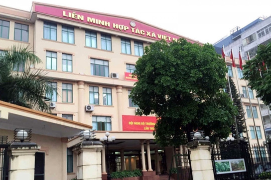 Vi phạm tại Đảng đoàn Liên minh Hợp tác xã Việt Nam đến mức xem xét kỷ luật