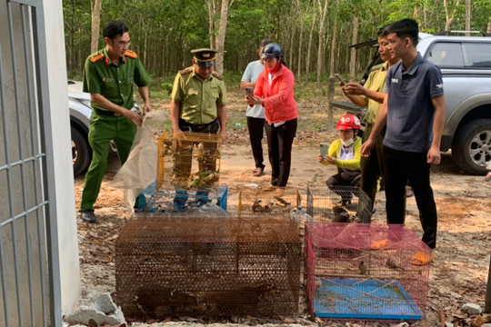 Hàng trăm cá thể động vật quý hiếm được thả về rừng ở Bình Dương