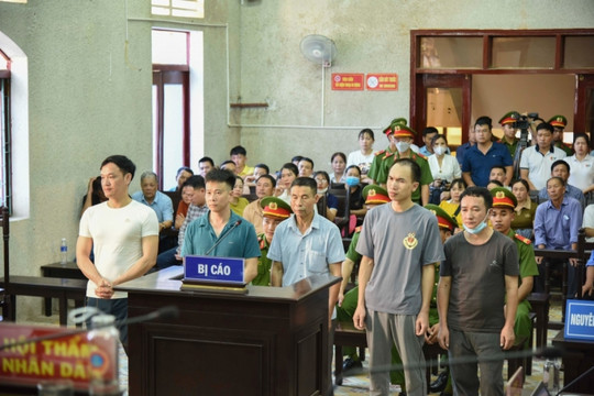 Vụ phá rừng Thông trên đỉnh Pha Đin: Tuyên phạt tổng cộng 12 năm 5 tháng tù giam