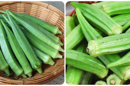Đậu bắp có tác dụng gì?
