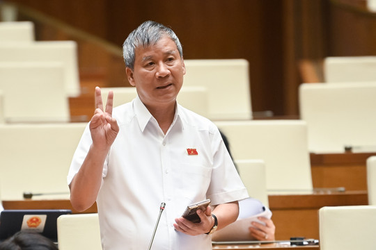 ĐBQH Nguyễn Anh Trí: Việt Nam bờ biển dài nhưng vẫn phải nhập khẩu muối