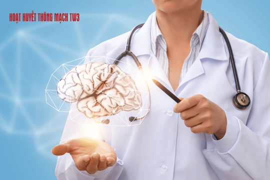Hoạt Huyết Thông Mạch TW3 - Giải pháp hiệu quả giúp tăng cường tuần hoàn máu não