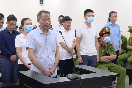 Vụ 'thổi giá' giá cây xanh: Nghe xong mức án đề nghị, bị cáo ngã gục