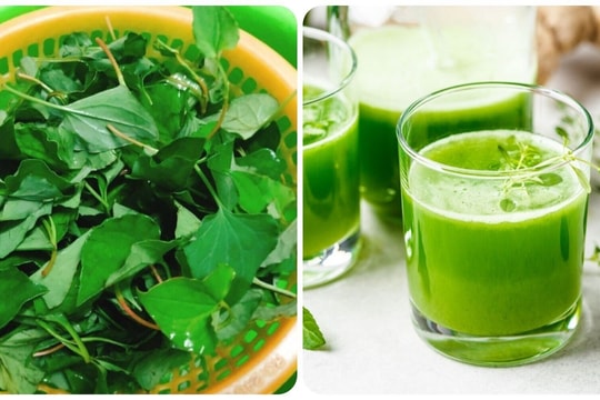 Rau diếp cá trị bệnh gì?