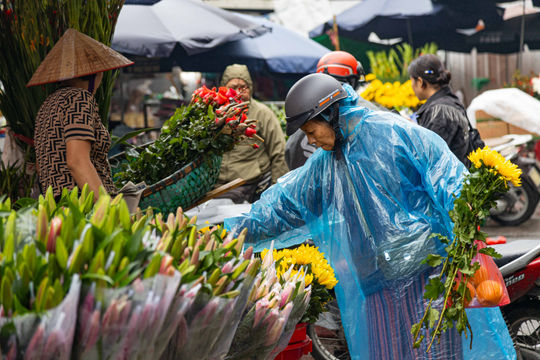 Người Hà Nội đội mưa, dậy sớm đi sắm đồ cúng rằm tháng Giêng