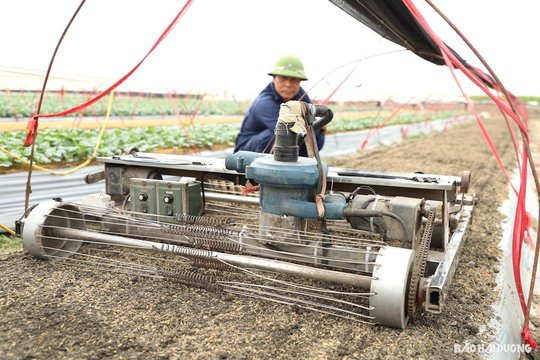 Nông dân học hết lớp 7 bán máy nông nghiệp đi khắp thế giới