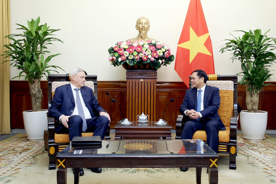 Bộ trưởng Bùi Thanh Sơn tiếp Thứ trưởng thứ nhất Bộ Ngoại giao Nga V. Titov