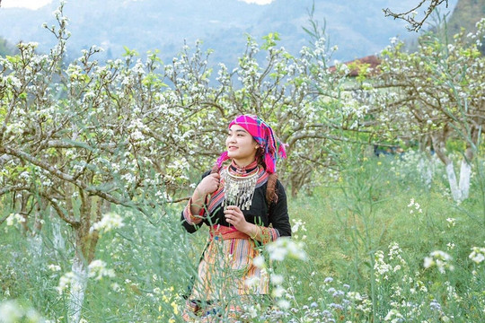 Miền Bắc chuyển nắng từ ngày mai