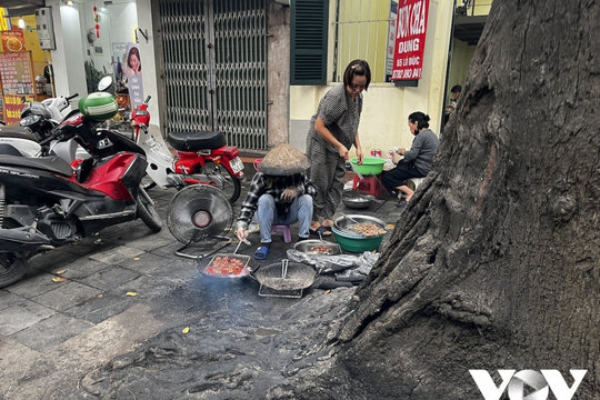 Cây xanh ở Hà Nội đang bị đối xử như thế nào?