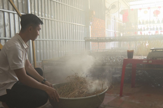 Công nghệ "nuôi-gác" ốc và định hướng phát triển tài nguyên bản địa