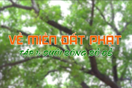 Về miền đất Phật tập 1: Dưới bóng Bồ Đề