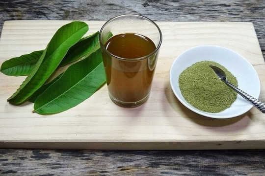 Loại lá phơi khô tốt cho sức khỏe nhưng nhiều người không biết
