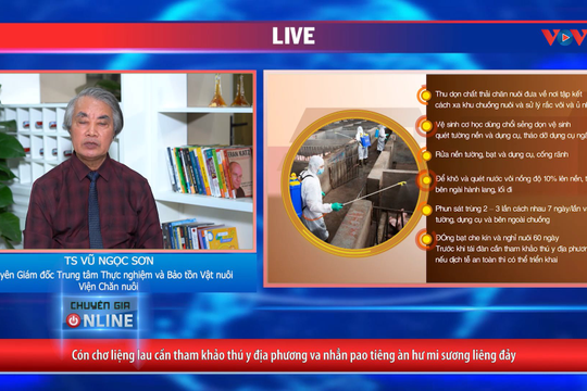 VIDEO - Nguyên nhân và cách phòng trừ dịch tả lợn
