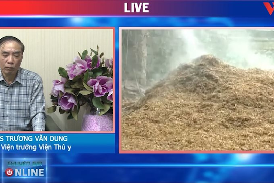 Video: Các bệnh thường gặp trong mùa lạnh ở bò và cách phòng trị