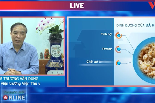 Video: Sử dụng bã rượu, bã bia để nuôi lợn như thế nào cho hiệu quả