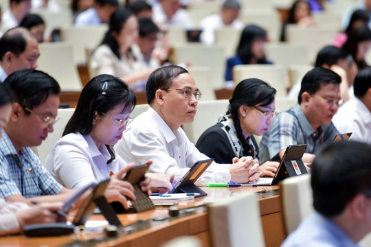 Đại biểu Quốc hội đề nghị cân nhắc VAT 0% hay 5% với mặt hàng phân bón