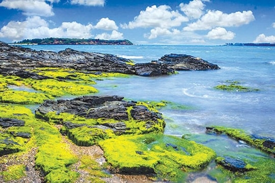 Mê mẩn những chiếc bàn đá rêu xanh rì ở danh thắng Bàn Than