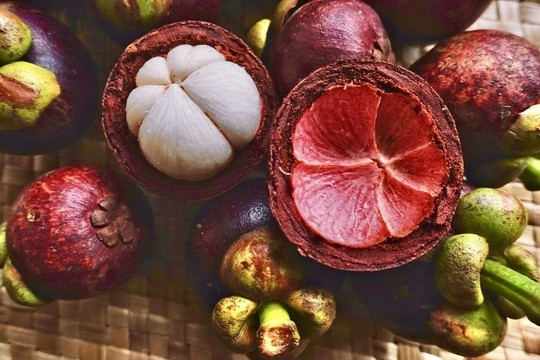 Vị thuốc quý từ quả măng cụt, người Việt lại toàn bỏ thùng rác