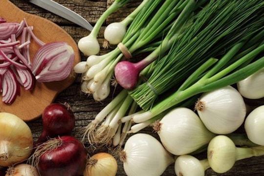 Tác dụng chữa bệnh của hành