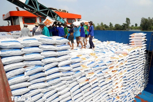 Giá gạo xuất khẩu chạm mức cao nhất trong gần ba tháng