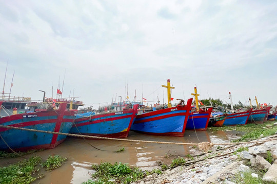 Bộ trưởng Lê Minh Hoan kiểm tra công tác ứng phó bão số 3 ở Nam Định