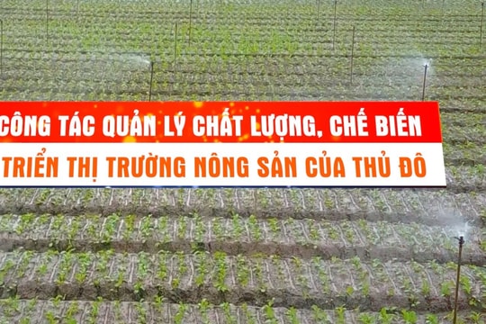Dấu ấn công tác quản lý chất lượng, chế biến và phát triển thị trường nông sản Thủ đô