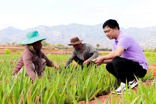 Nông nghiệp hạnh phúc trong triết lý kinh doanh của “Vua” nha đam Nguyễn Văn Thứ 