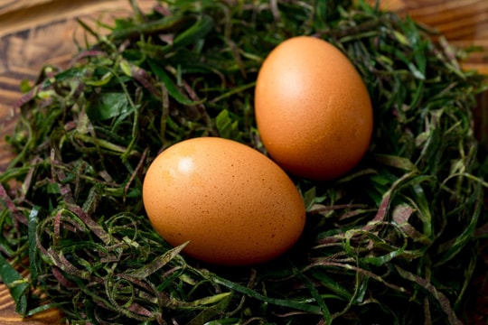 Những loại lá rán cùng trứng vừa bổ vừa ngon