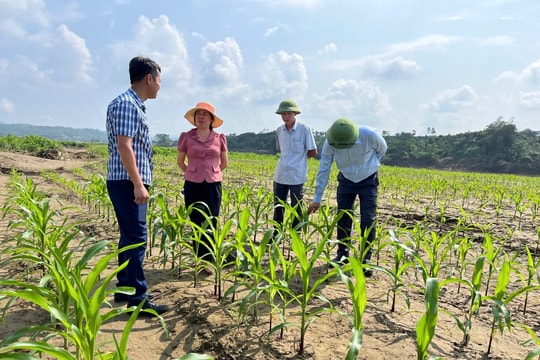 Bài 1: Cứu cây là cứu đói