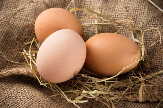Thời điểm ăn trứng giúp ngủ ngon, hỗ trợ sức khỏe não bộ
