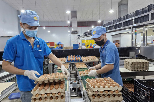 Doanh nghiệp TP.HCM tất bật lo hàng Tết, dồn lực chờ bùng nổ mua bán tháng Chạp
