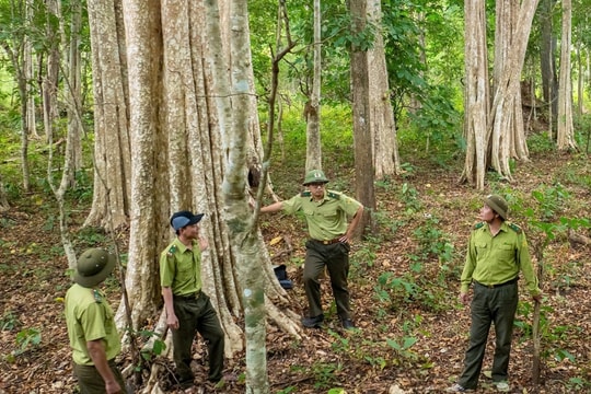 Vườn Quốc gia Yok Đôn (Đắk Lắk) ứng dụng công nghệ quản lý bảo vệ rừng