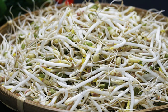 'Nước kẹo' dùng làm 'phụ gia' cho 2.900 tấn giá đỗ nguy hiểm thế nào?