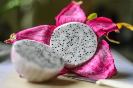 Tác dụng bất ngờ của vỏ quả thanh long