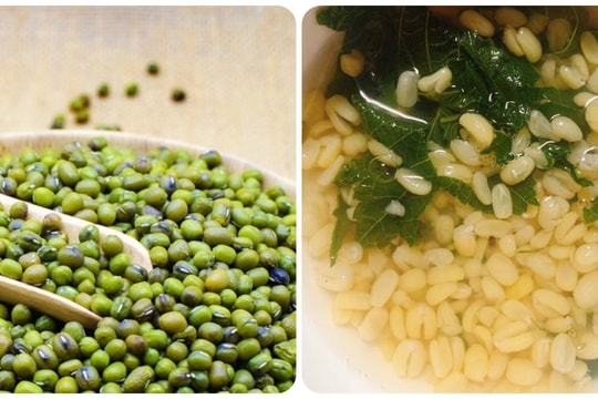 Cách nấu canh đậu xanh tía tô giải độc gan ngày Tết