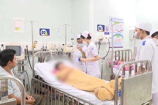 TP.HCM cảnh báo nguy cơ dịch sốt xuất huyết bùng phát sớm