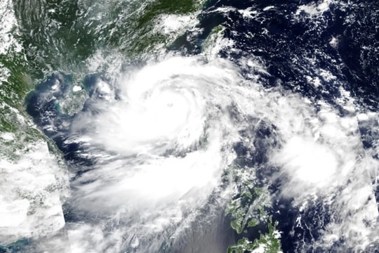 Lý do khai tử tên bão Yagi, Trà Mi