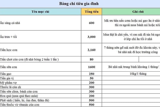 Bảng chi tiêu gia đình 3 người hết 15 triệu đồng/tháng khiến dân mạng tranh cãi