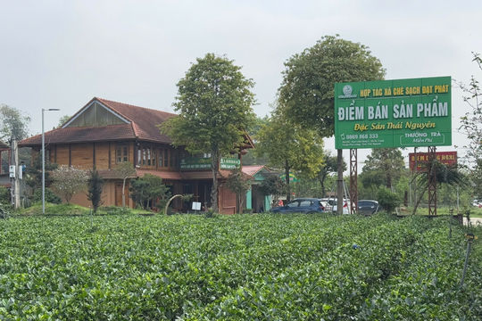 Thu hút du khách bằng nét văn hóa và nghệ thuật thưởng Trà Thái Nguyên