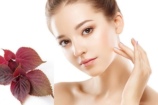 5 công dụng làm đẹp bất ngờ của lá tía tô