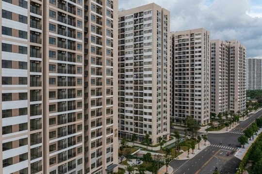 Ở chung cư cao tầng, cần làm gì ngay khi xảy ra động đất?