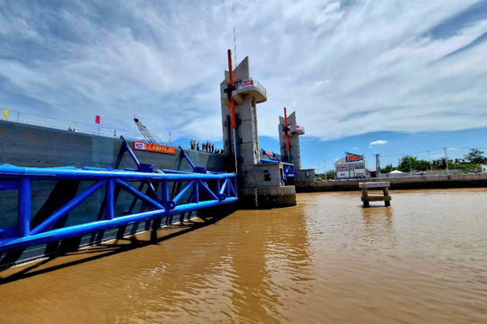 Hiệu quả từ những công trình thủy lợi ngăn mặn giữ ngọt ở ĐBSCL