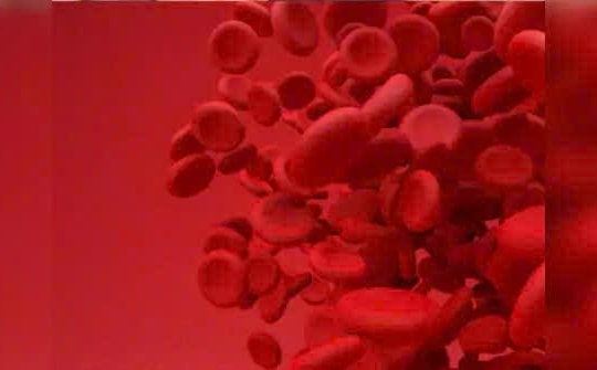 Những loại thực phẩm giúp tăng nồng độ hemoglobin một cách tự nhiên
