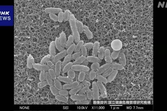 Báo động về tình trạng gia tăng số lượng bệnh nhân bị ho gà tại Nhật Bản