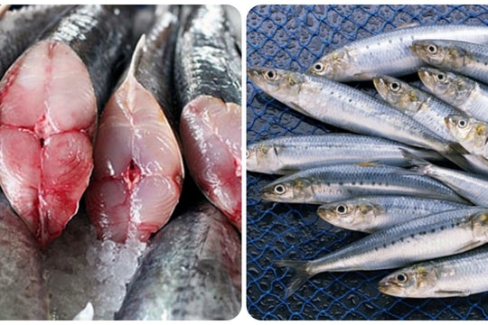5 loại cá béo có hàm lượng Omega-3 cao nhất, nên ăn thường xuyên