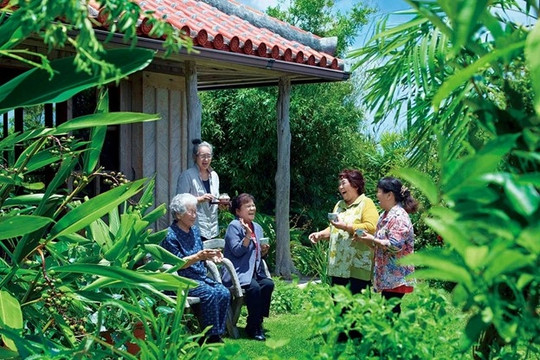 Ngôi làng trường thọ top đầu thế giới, bí quyết là loại quả quen mặt ở Việt Nam