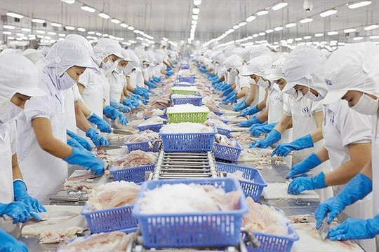 Mỹ hoãn áp thuế 90 ngày: Ngành thủy sản muốn lập quỹ để đối phó bất ổn