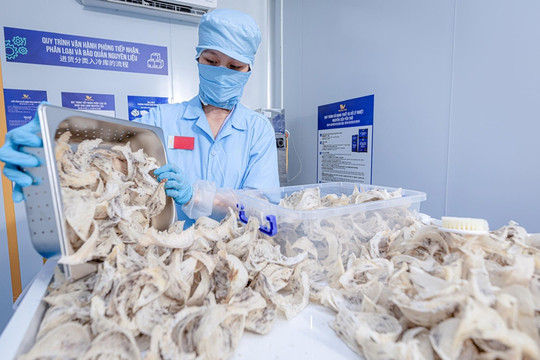 Thêm 4 mặt hàng nông sản Việt Nam được xuất chính ngạch sang Trung Quốc