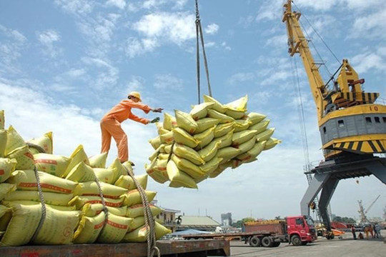 Gạo Việt xuất khẩu lấy lại vị thế ‘đắt giá nhất thế giới’
